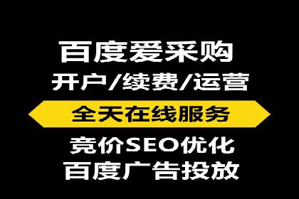 百度竞价运营的挑战与机遇：成功案例探讨